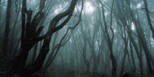 hutan angker