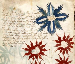voynichmanuscriptkl
