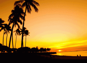 senja