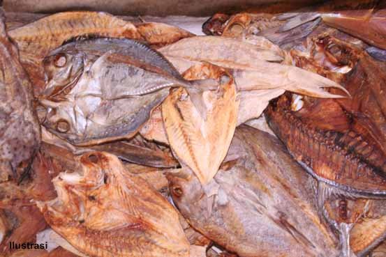 “Komhandan” Pengawet Ikan Asin Alami