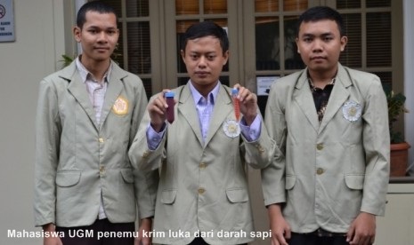 Ada Krim Penyembuh Luka Dari Darah Sapi