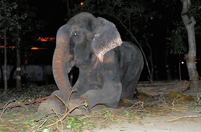 Raju Teteskan Air Mata Saat Bebas Dari Belenggu Selama 50 Tahun