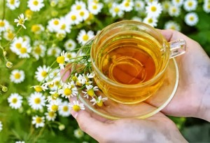 Teh Chamomile