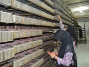 Siswa SMK Swasta Medan Area-1 Tangani Perangkat Vital di Telkom