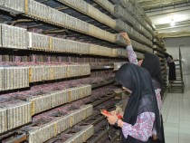 Siswa SMK Swasta Medan Area-1 Tangani Perangkat Vital di Telkom