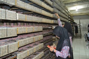 Siswa SMK Swasta Medan Area-1 Tangani Perangkat Vital di Telkom