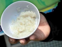 Ini Yang Terjadi Jika Anda Konsumsi Nasi Beras Plastik